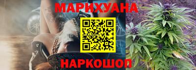 apvp Пугачёв