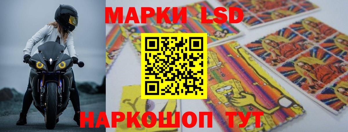 Конопля Тимашёвск