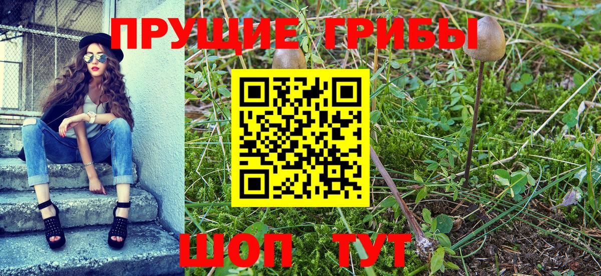 Галлюциногенные грибы мухоморы  Вход с VPN  Тимашёвск 