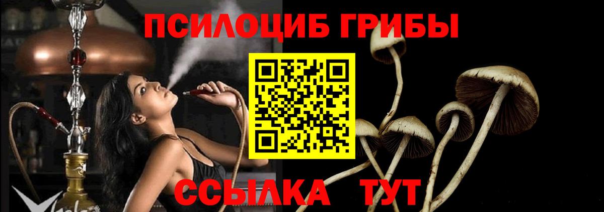 Галлюциногенные грибы мицелий Тимашёвск